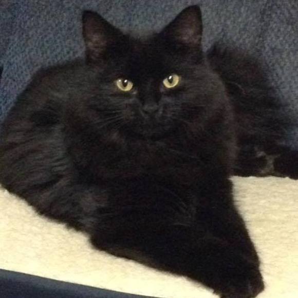 Meet your Posher, Karen - Picture 1 of 1